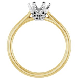 14K Yellow & White Gold 6.5 mm Round Engagement Ring Mounting