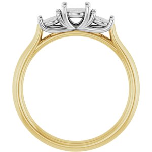 14K Yellow/White Gold 4.8 mm Round Engagement Ring Mounting