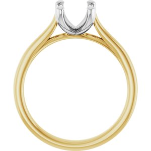 14K Yellow & White Gold 8x6 mm Emerald Engagement Ring Mounting