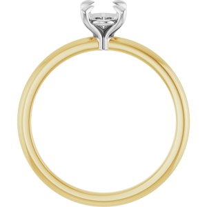 14K Yellow/White Gold 7x5 mm Oval Engagement Ring Mounting