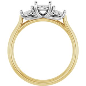 14K Yellow/White Gold 5.5 mm Round Engagement Ring Mounting