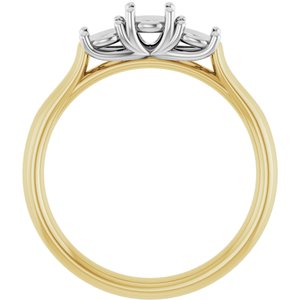14K Yellow/White Gold 4.1 mm Round Engagement Ring Mounting