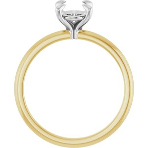 14K Yellow/White Gold 8x6 mm Oval Engagement Ring Mounting