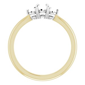 14K Yellow/White Gold 4.1 mm Round Engagement Ring Mounting