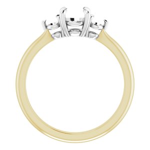 14K Yellow/White Gold 5.5 mm Round Engagement Ring Mounting