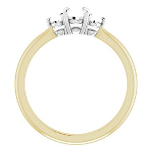 14K Yellow/White Gold 4.4 mm Round Engagement Ring Mounting