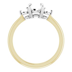 14K Yellow/White Gold 6 mm Round Engagement Ring Mounting